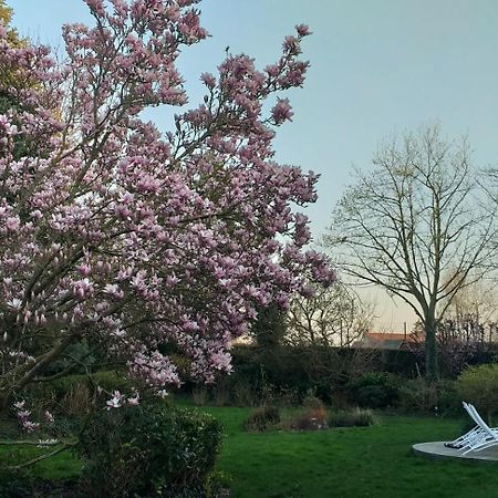 Le Mont Saint Roch , Chambre D'Hotes, B&B Nivelles Exterior foto